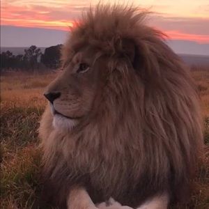 Meet your Posher, Lea